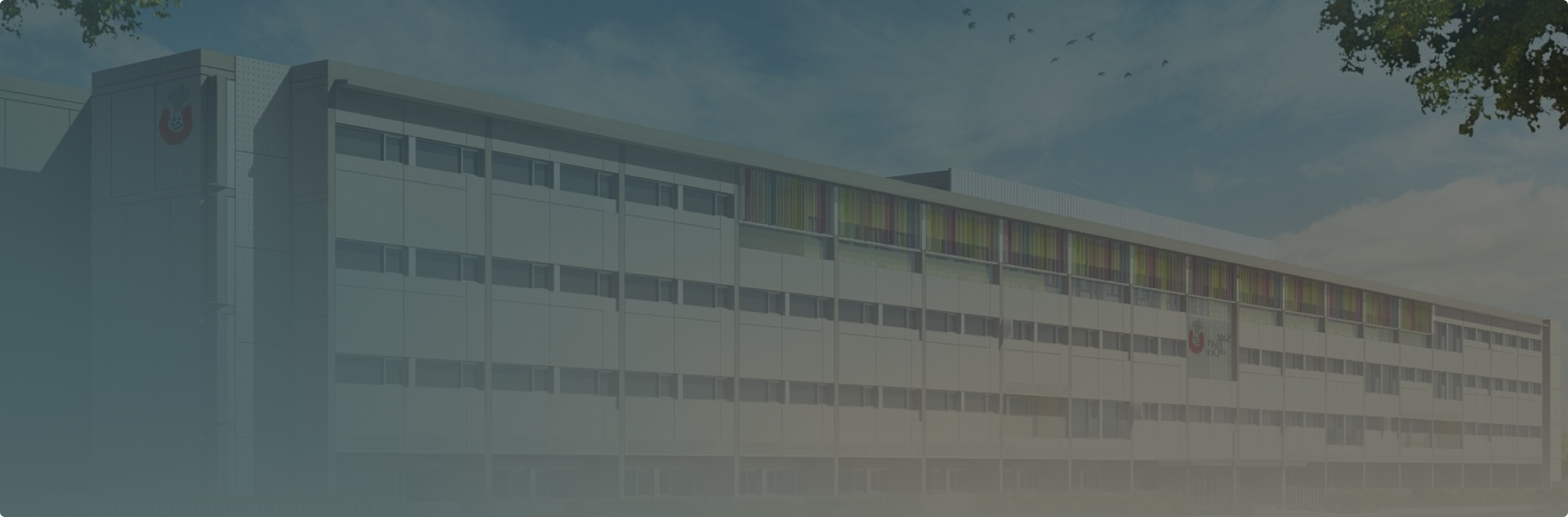 Banner - Història