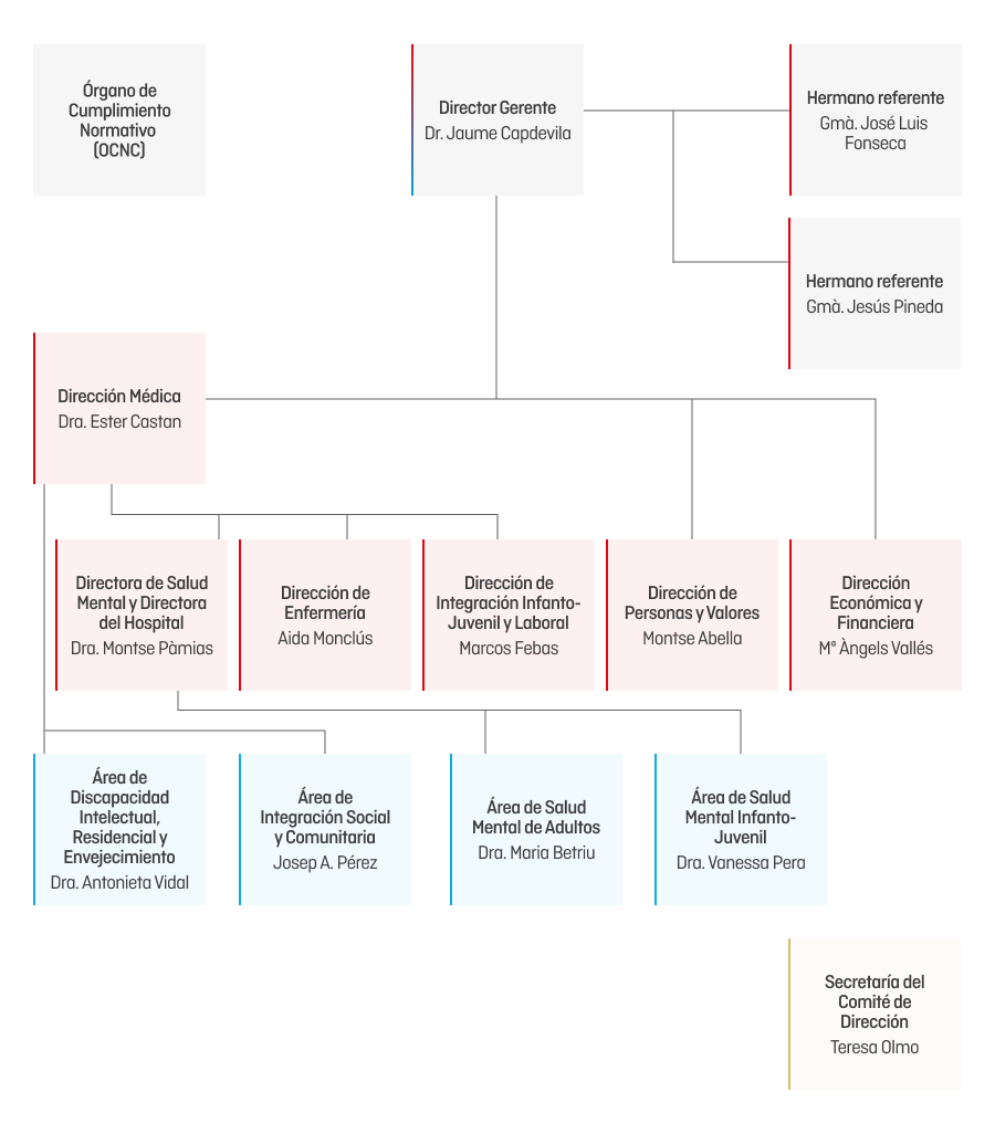 Organigrama - Estructura Organizativa
