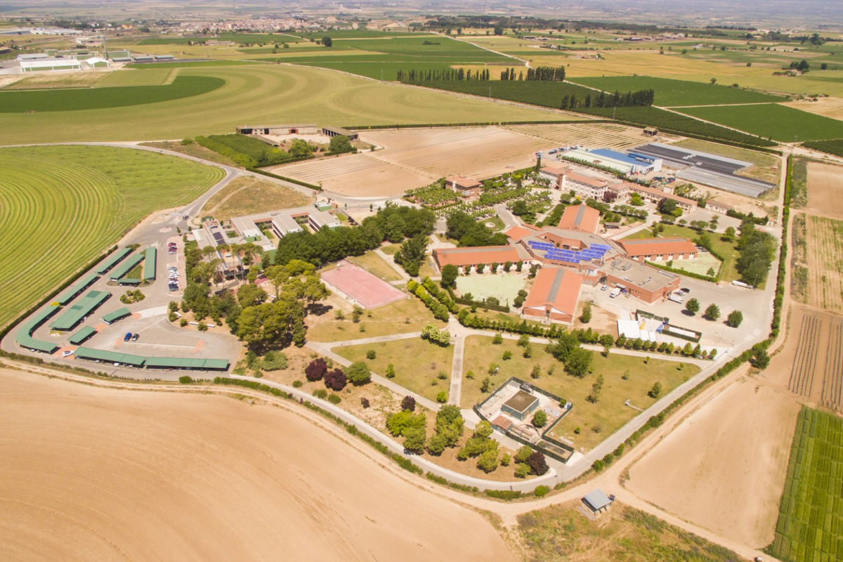 Imatge - Centre